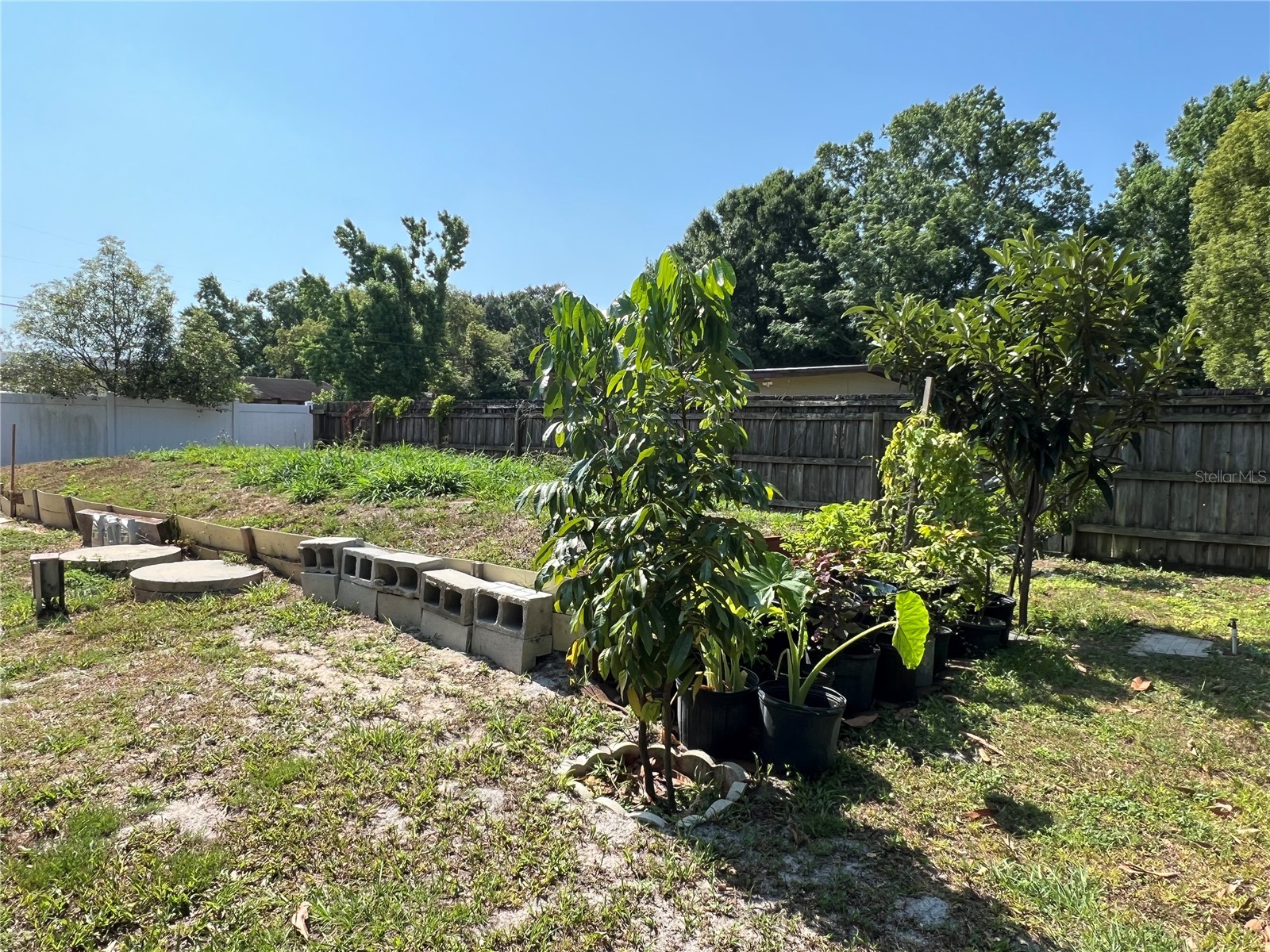 1620 Foxbower Road Orlando FL 32825 O6396194 image20