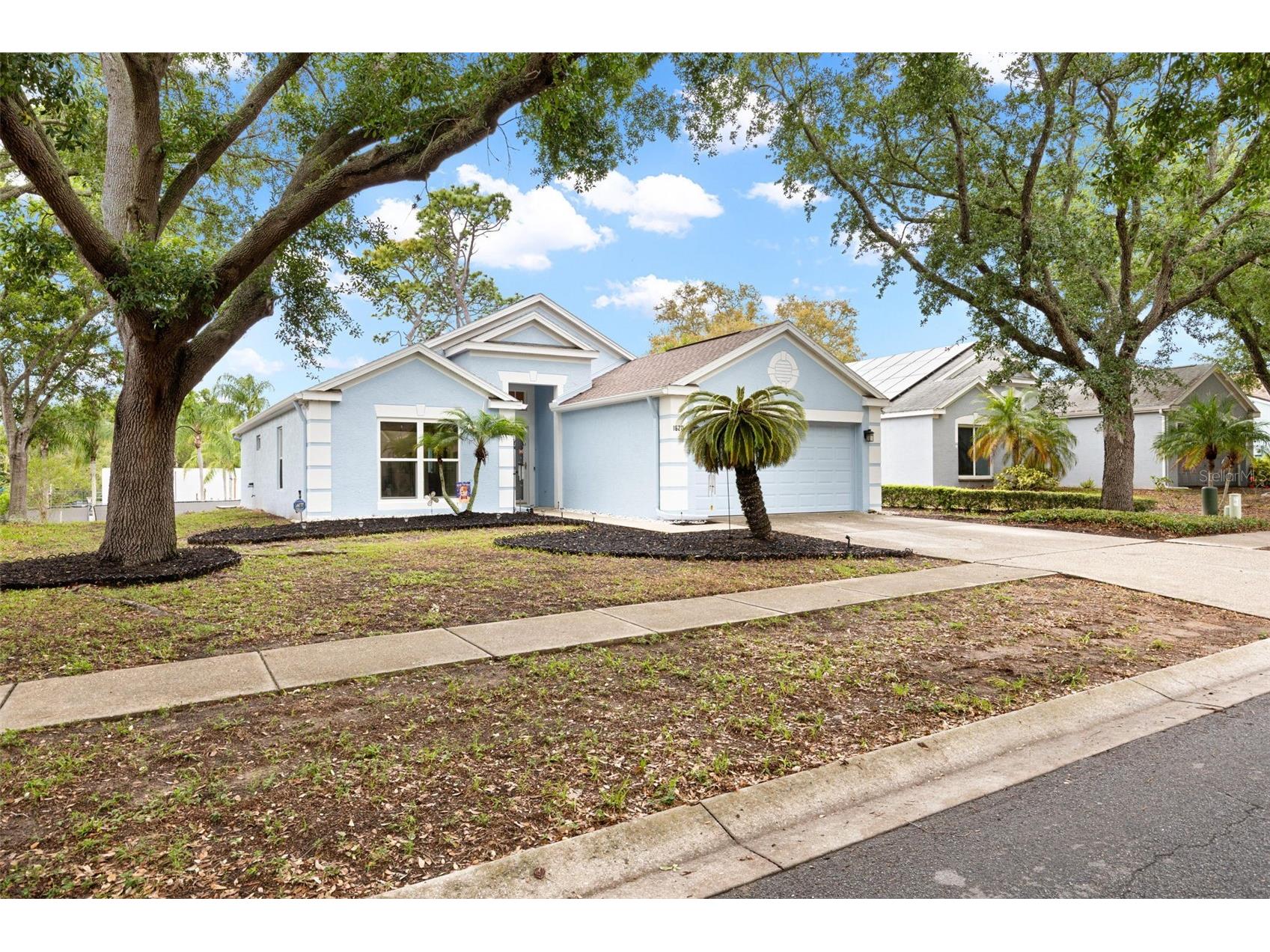 1620 Navigator Lane Tarpon Springs FL 34689 TB8496780 image3
