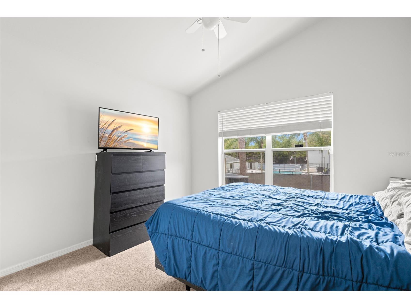 1620 Navigator Lane Tarpon Springs FL 34689 TB8496780 image30