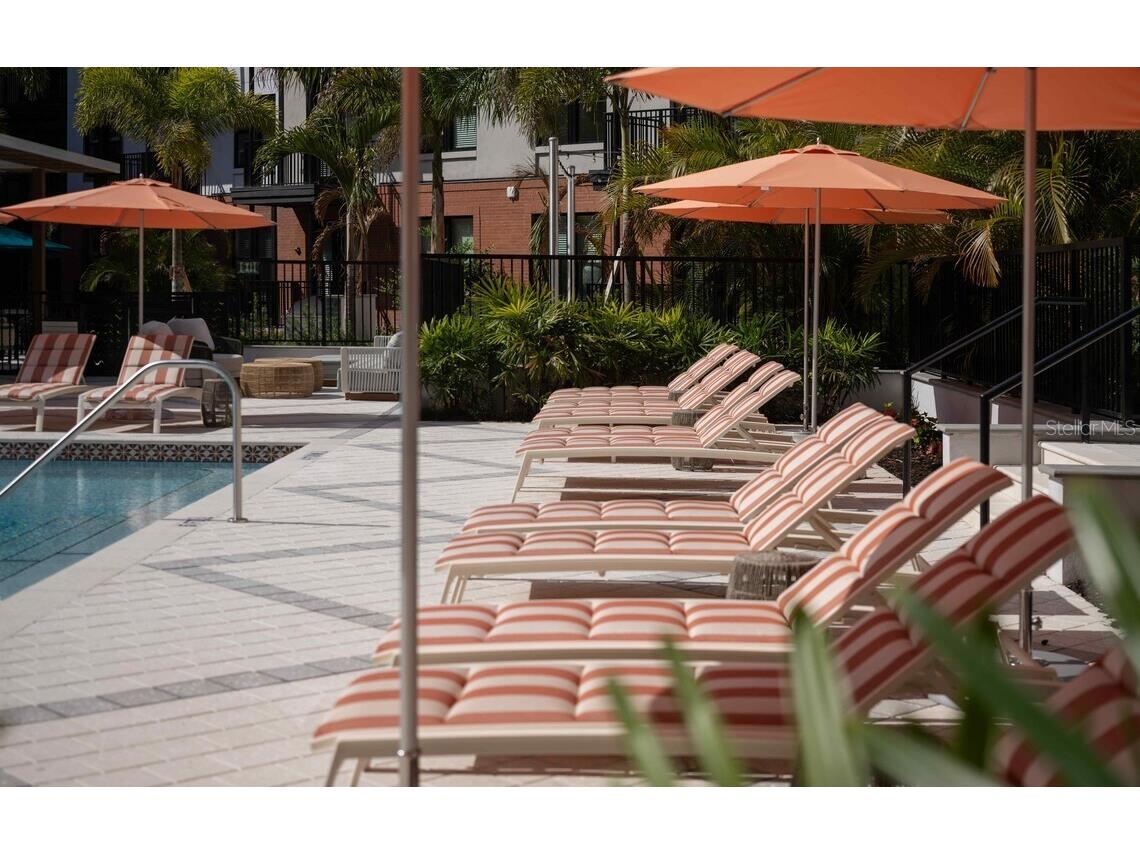 1620 Nuccio Parkway #S1A Tampa FL 33605 O6413485 image8