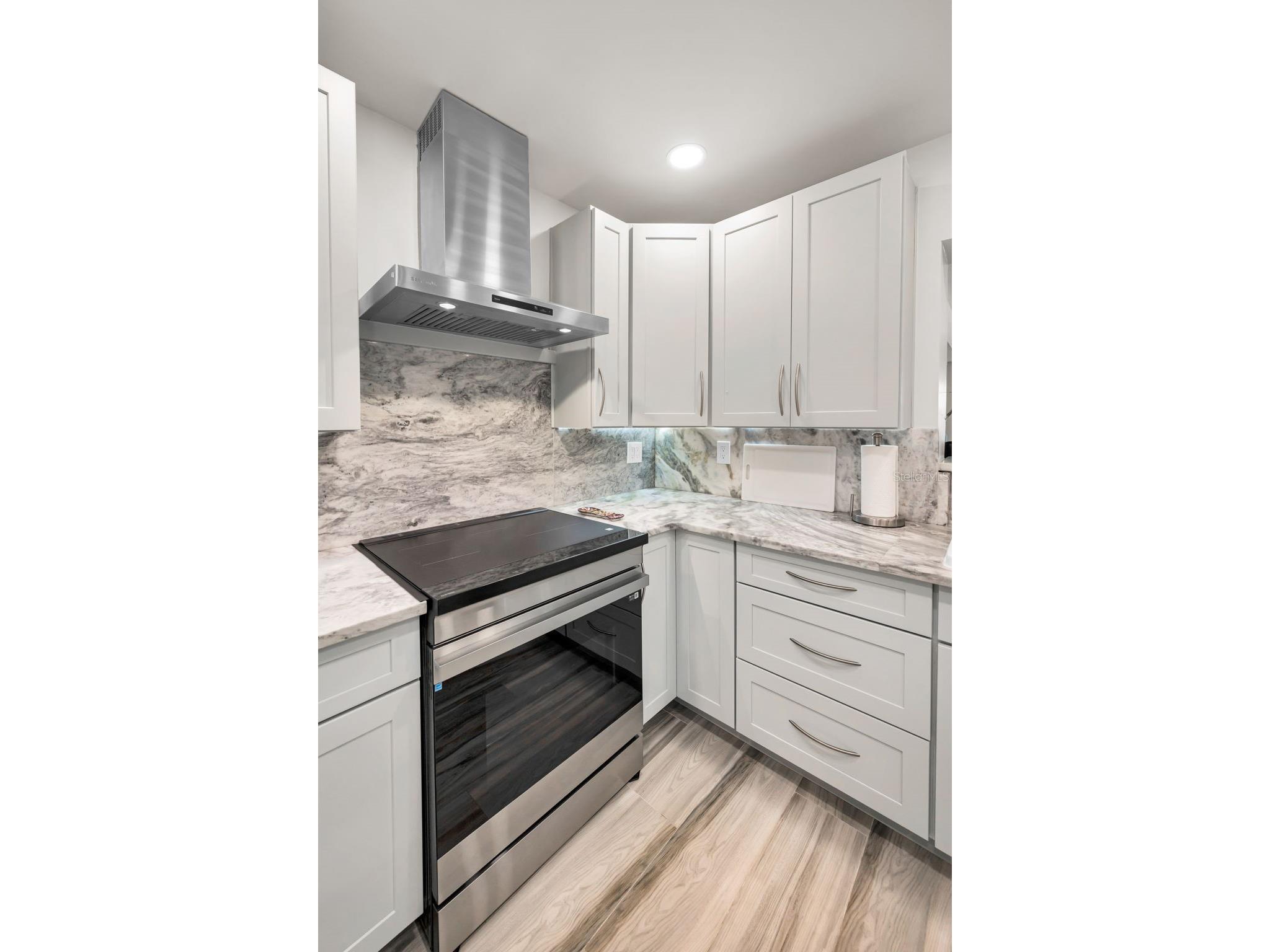 1620 Sea Breeze Drive Tarpon Springs FL 34689 - GULF OF AMERICA W7886130 image21