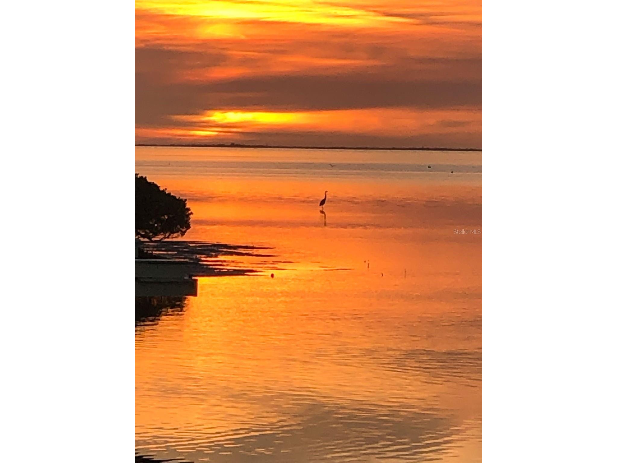 1620 Sea Breeze Drive Tarpon Springs FL 34689 - GULF OF AMERICA W7886130 image6
