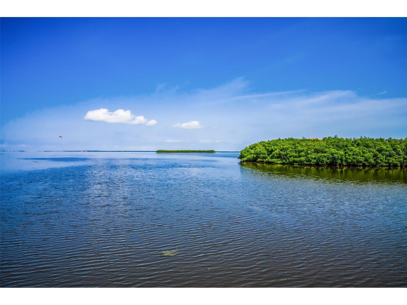 1620 Sea Breeze Drive Tarpon Springs FL 34689 - GULF OF AMERICA W7886130 image79