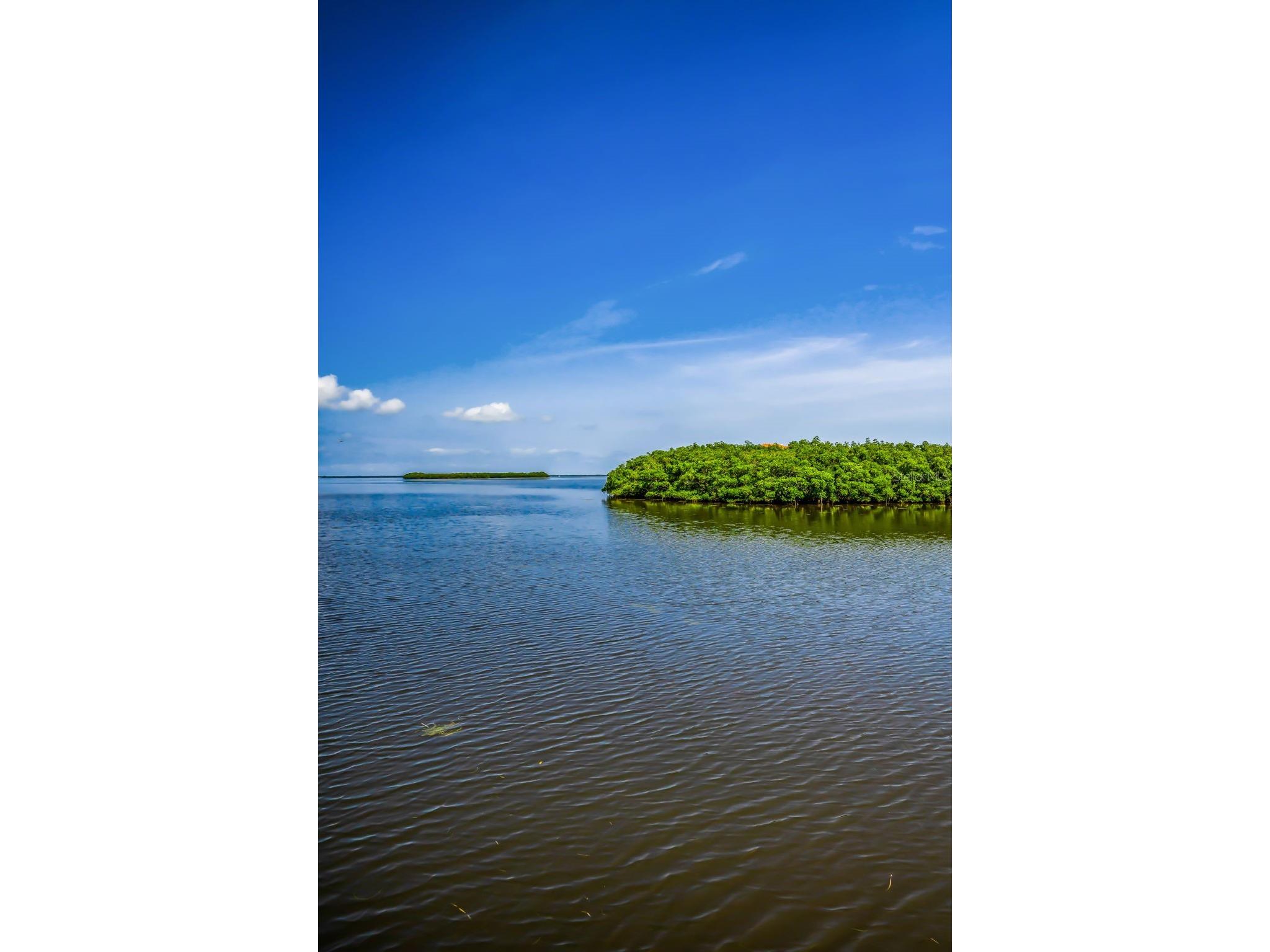 1620 Sea Breeze Drive Tarpon Springs FL 34689 - GULF OF AMERICA W7886130 image81