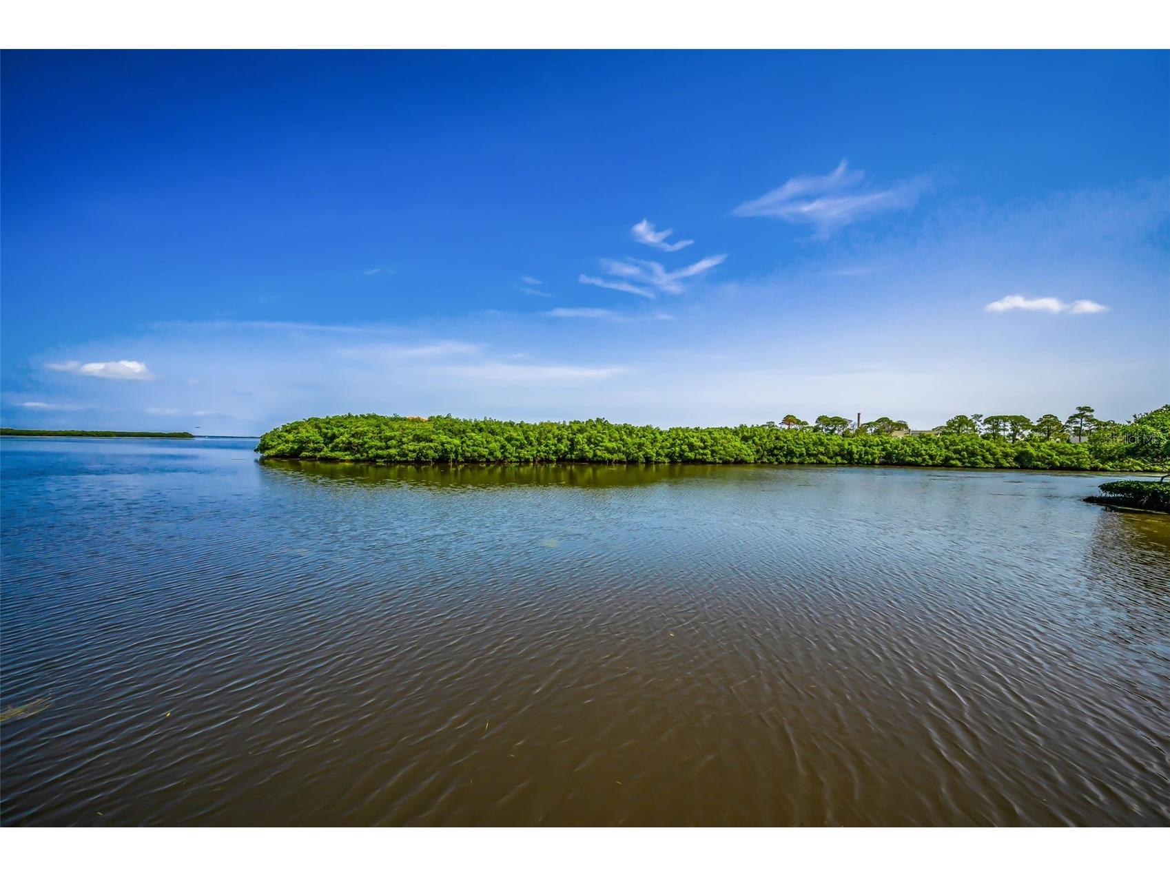 1620 Sea Breeze Drive Tarpon Springs FL 34689 - GULF OF AMERICA W7886130 image83