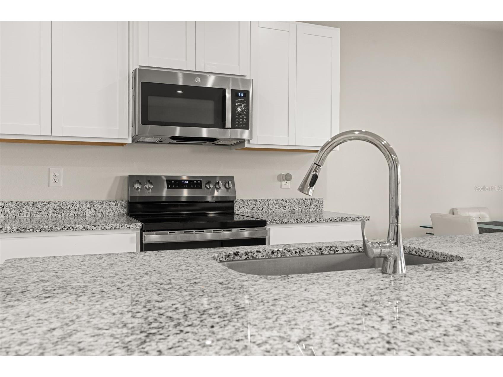 1620 Texas Avenue Sumterville FL 33585 S5150692 image11