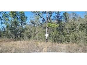 16200 Crane Road Weeki Wachee FL 34614 TB8506347 image2