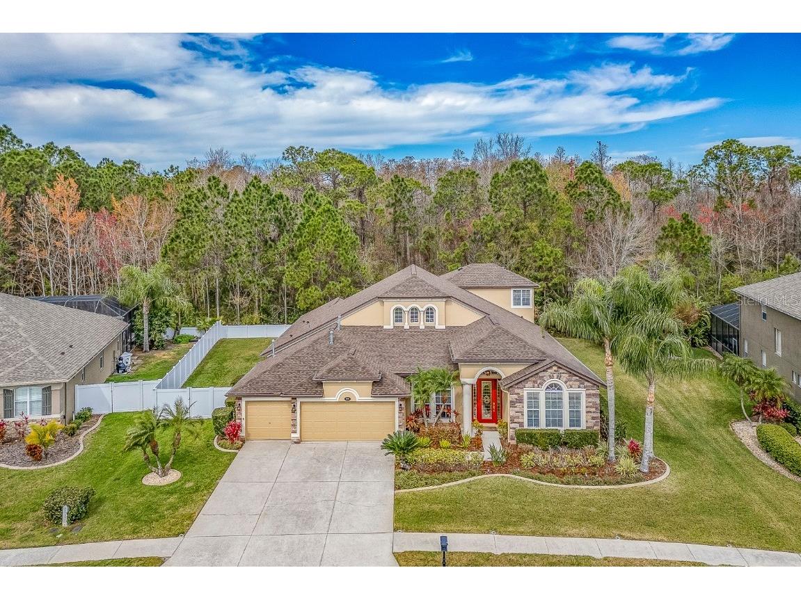 16200 Ivy Lake Drive Odessa FL 33556 U8231158 image1