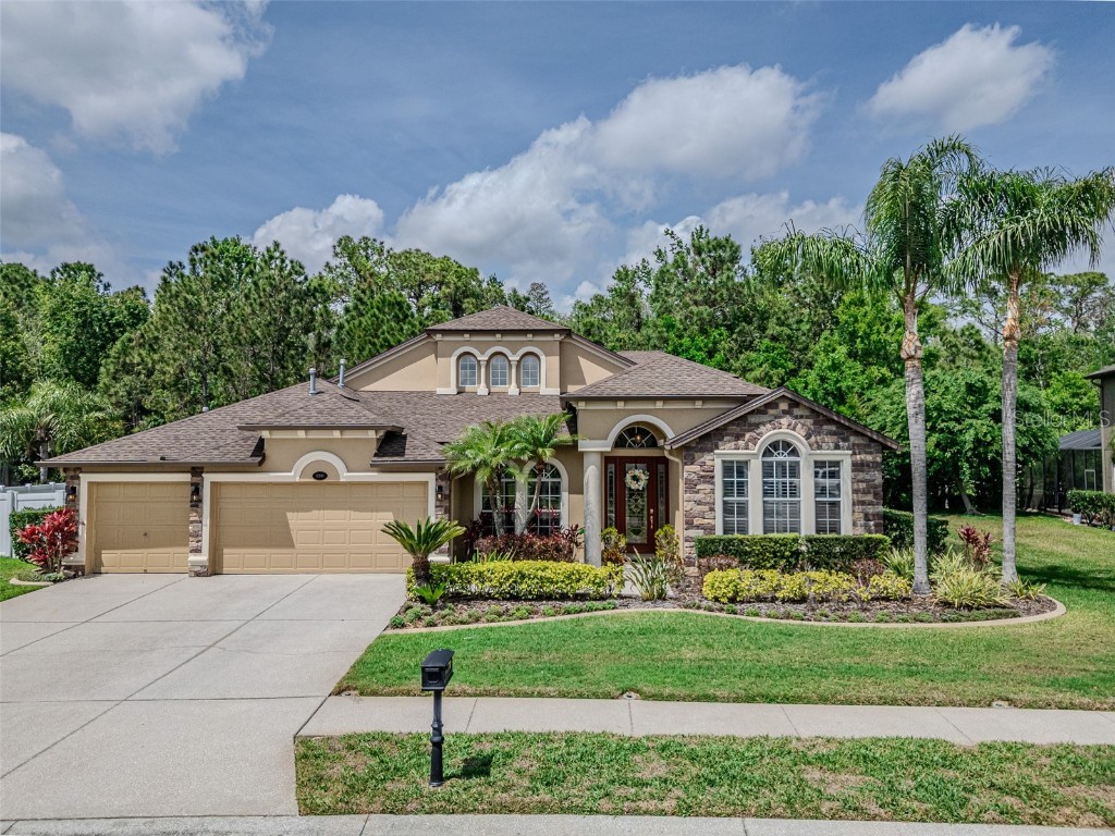 16200 Ivy Lake Drive Odessa FL 33556 TB8366372 image1