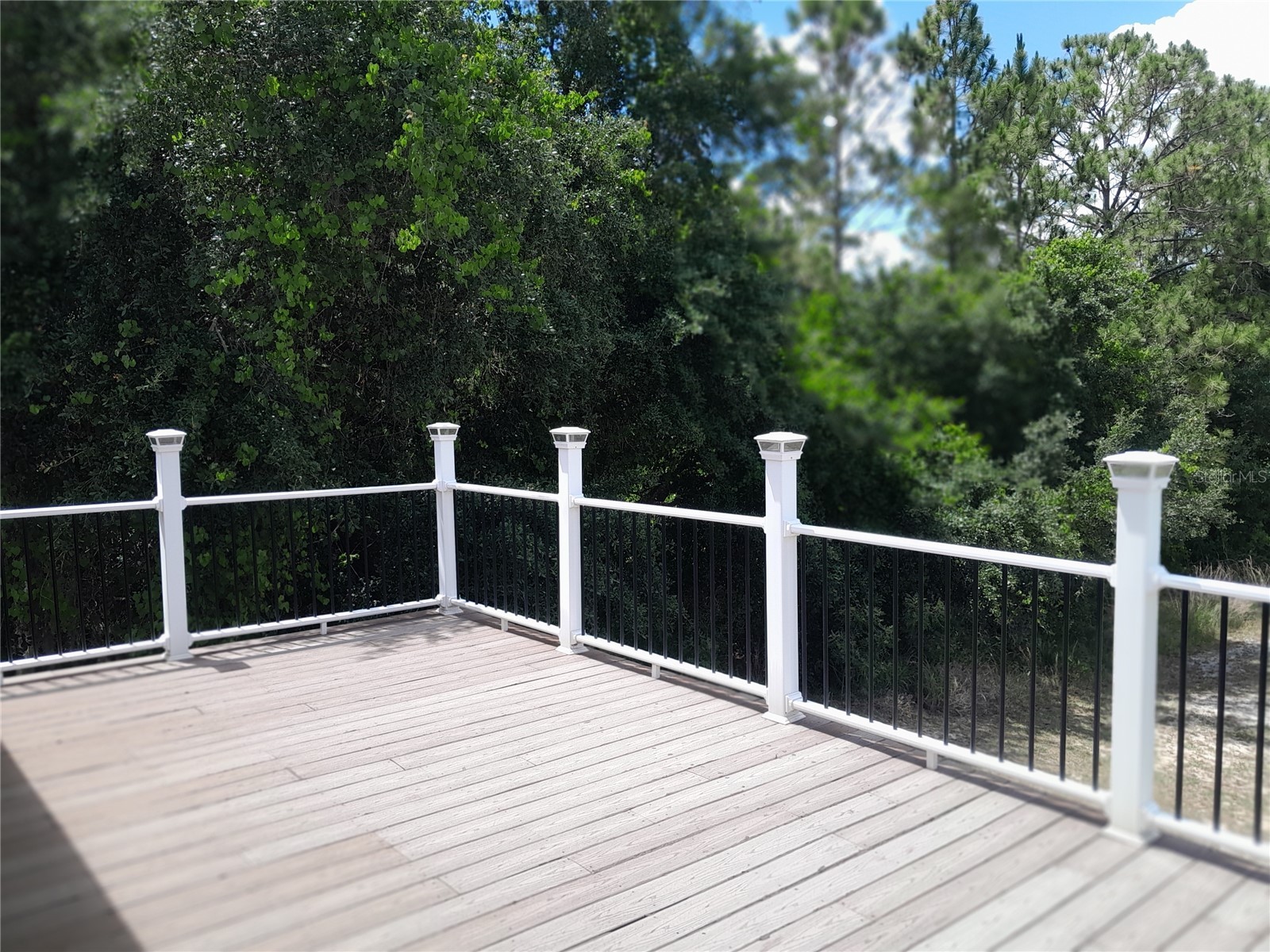 16201 Citrus Pkwy Clermont FL 34714 G5112124 image33