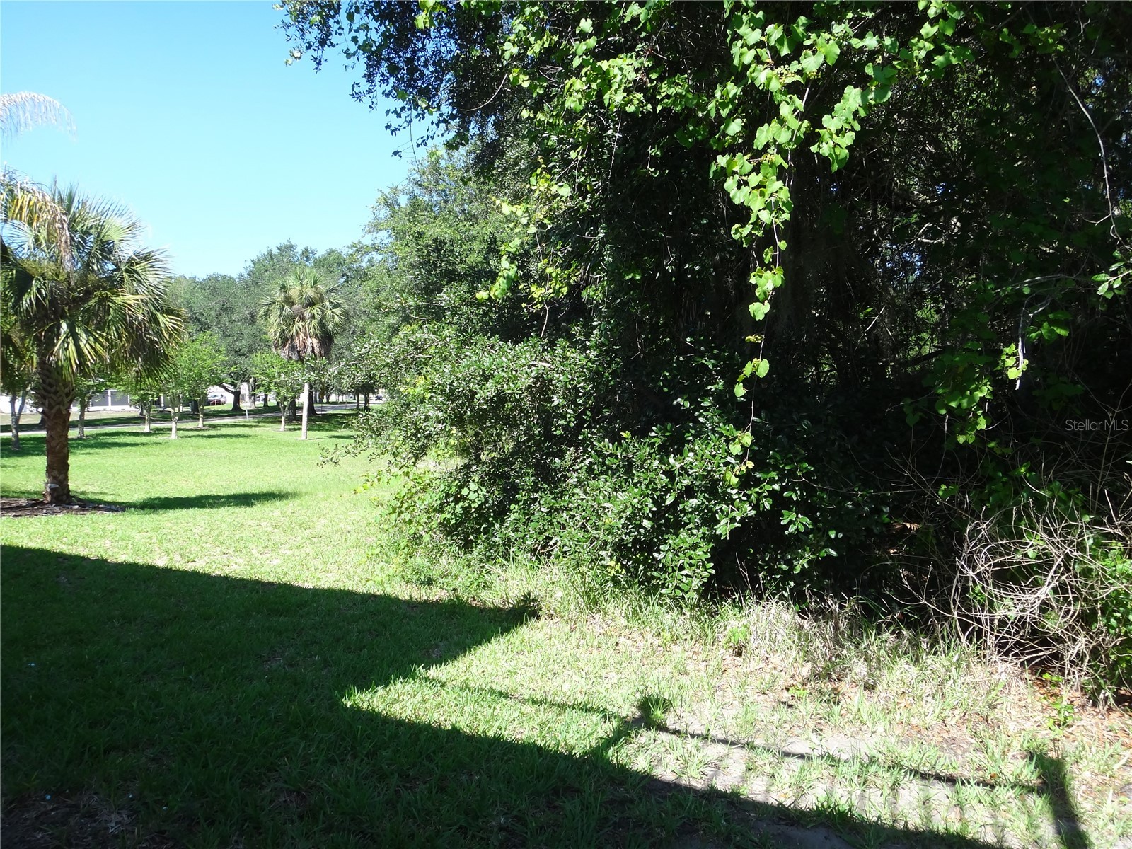 16201 Citrus Pkwy Clermont FL 34714 G5112124 image38