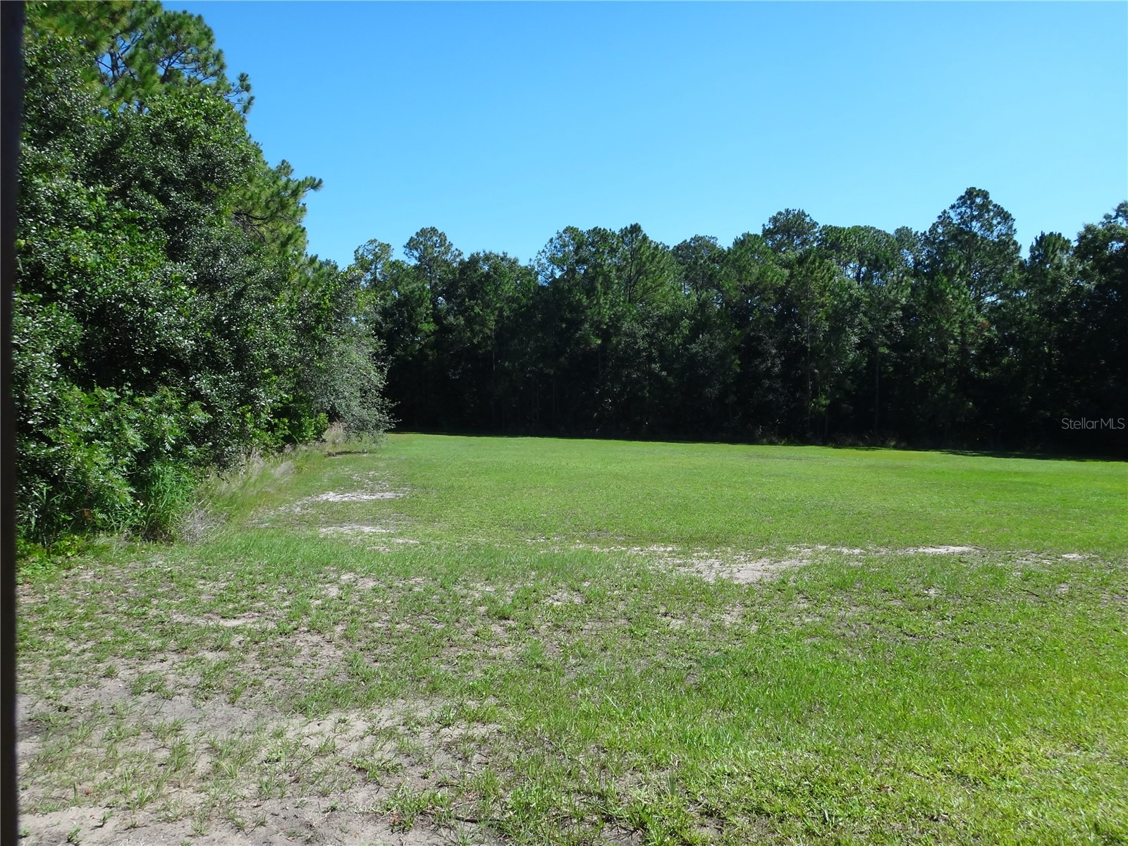 16201 Citrus Pkwy Clermont FL 34714 G5112124 image39