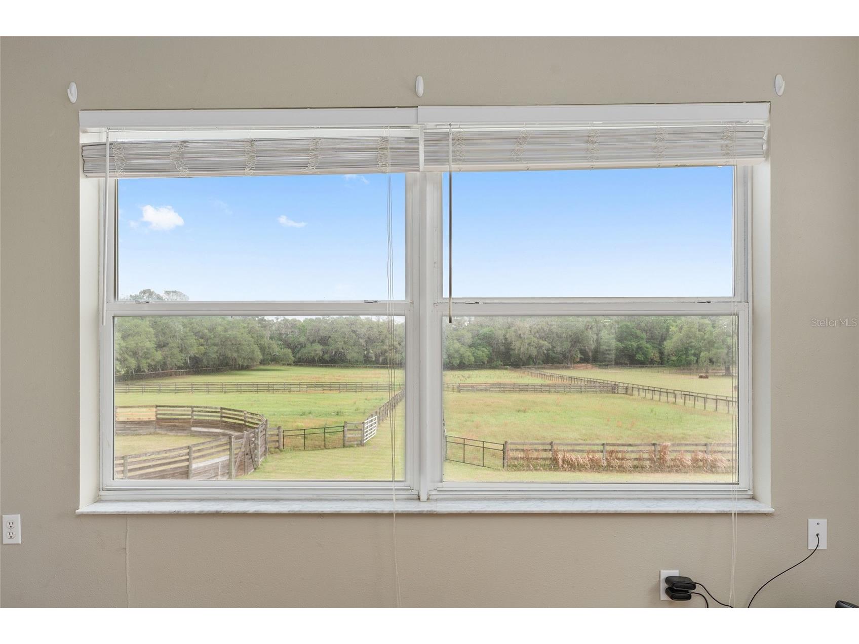 16201 NW 162nd Terrace Williston FL 32696 OM723168 image42