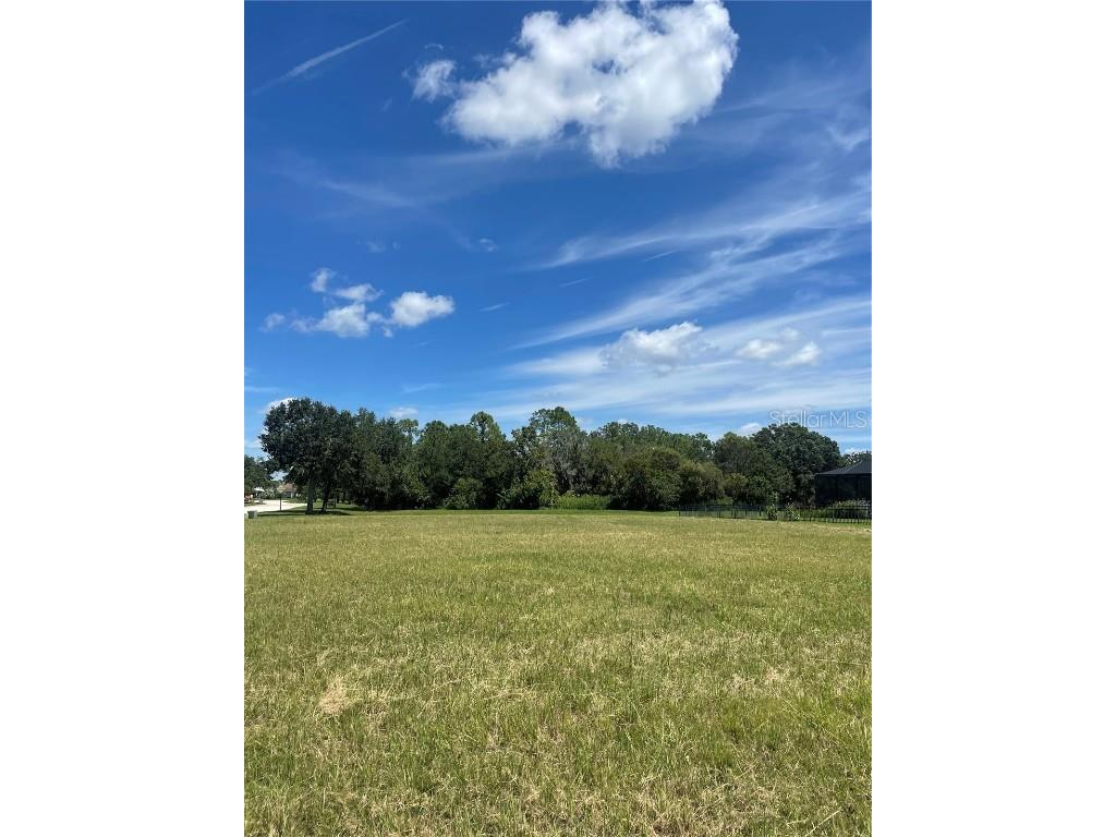 16202 29th Court E Parrish FL 34219 A4581667 image1