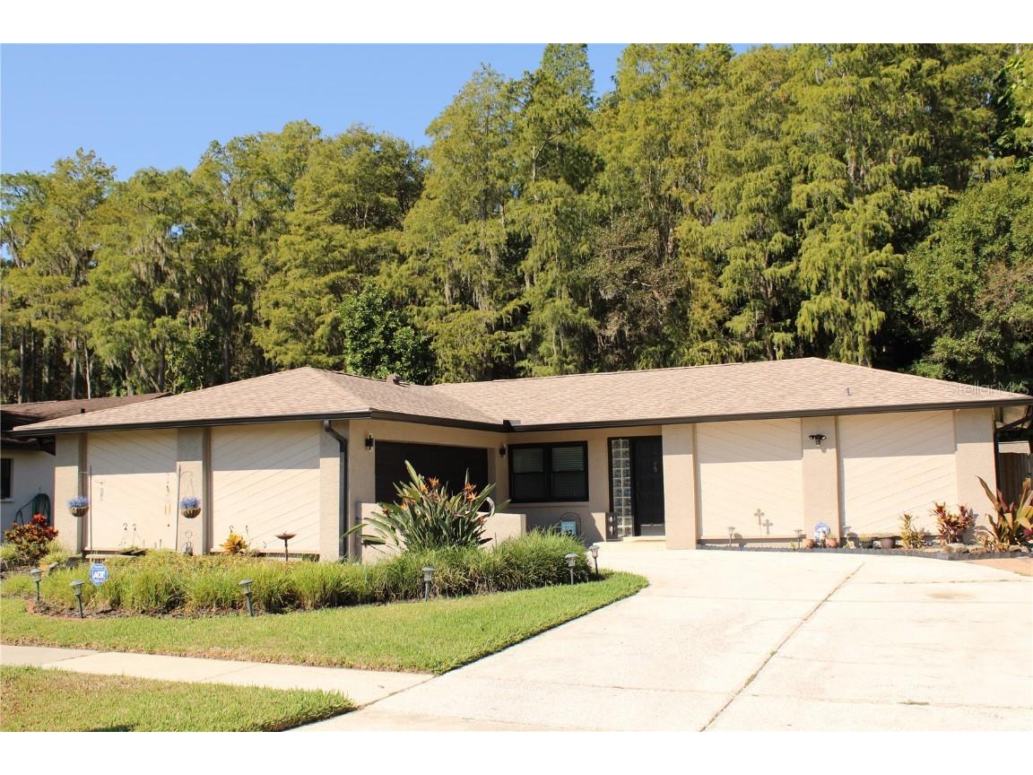 16202 Oakmanor Drive Tampa FL 33624 T3471514 image1