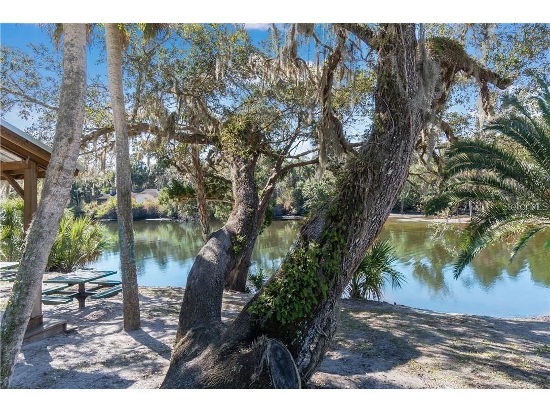 16203 33rd Court E Parrish FL 34219 A4694973 image24