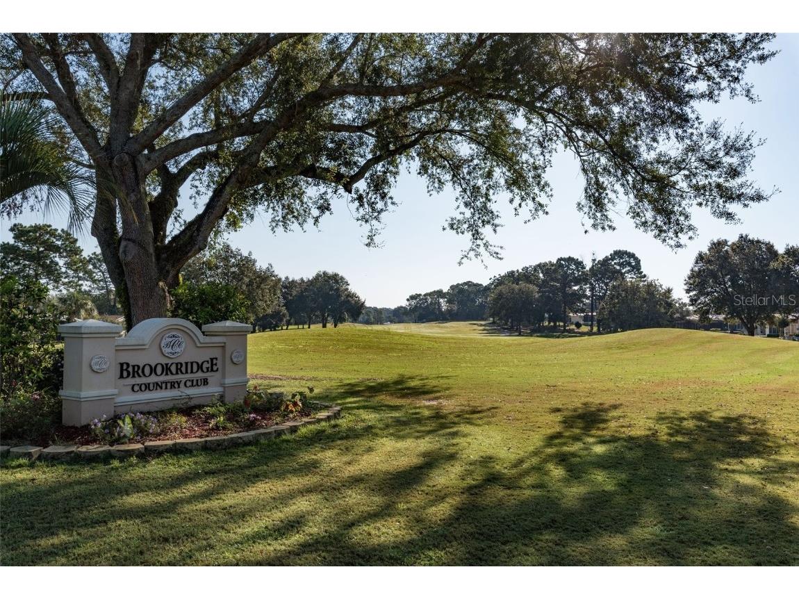 16203 Brookridge Boulevard Brooksville FL 34613 TB8369118 image41