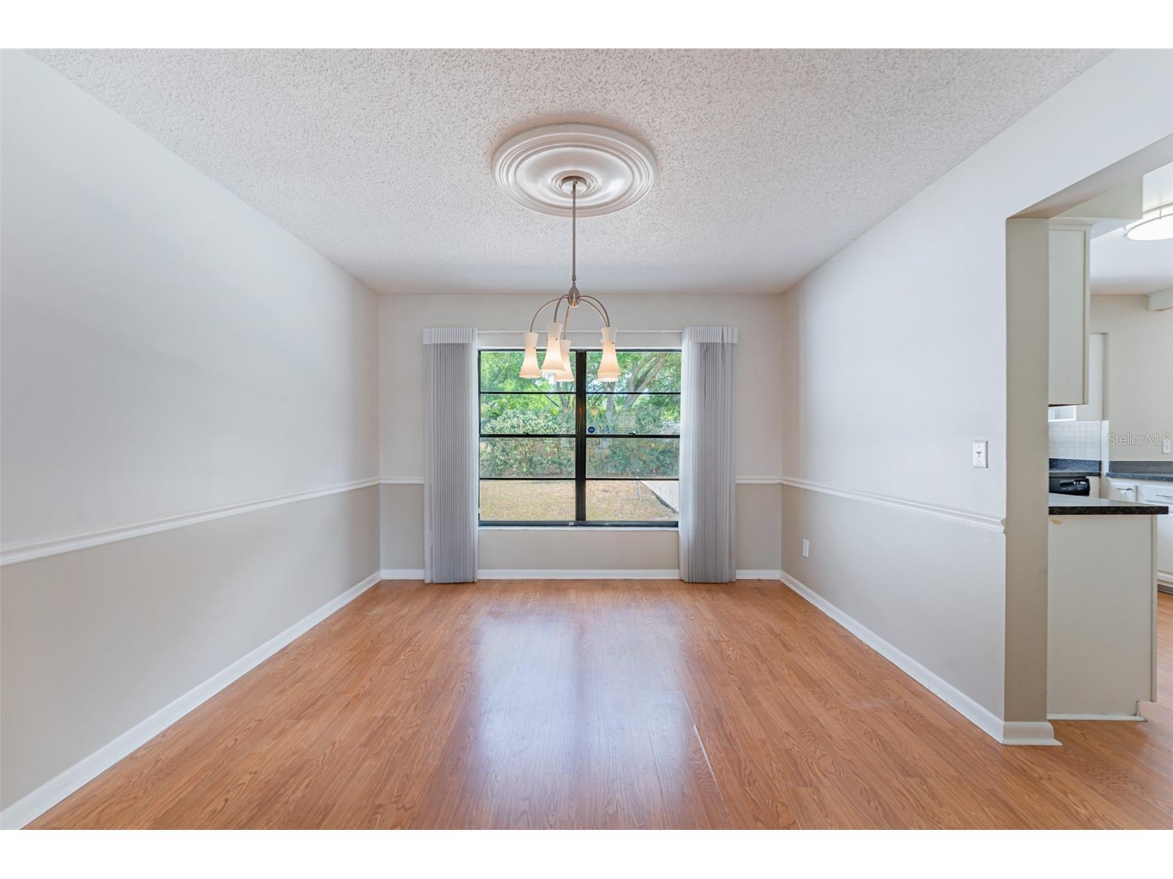16203 Fantasia Drive Tampa FL 33624 TB8485098 image24