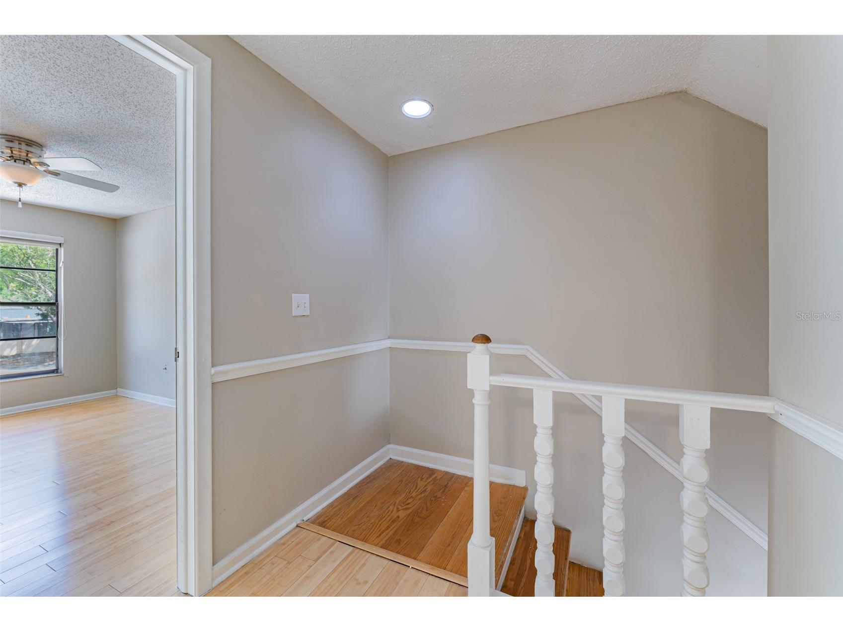 16203 Fantasia Drive Tampa FL 33624 TB8485098 image30