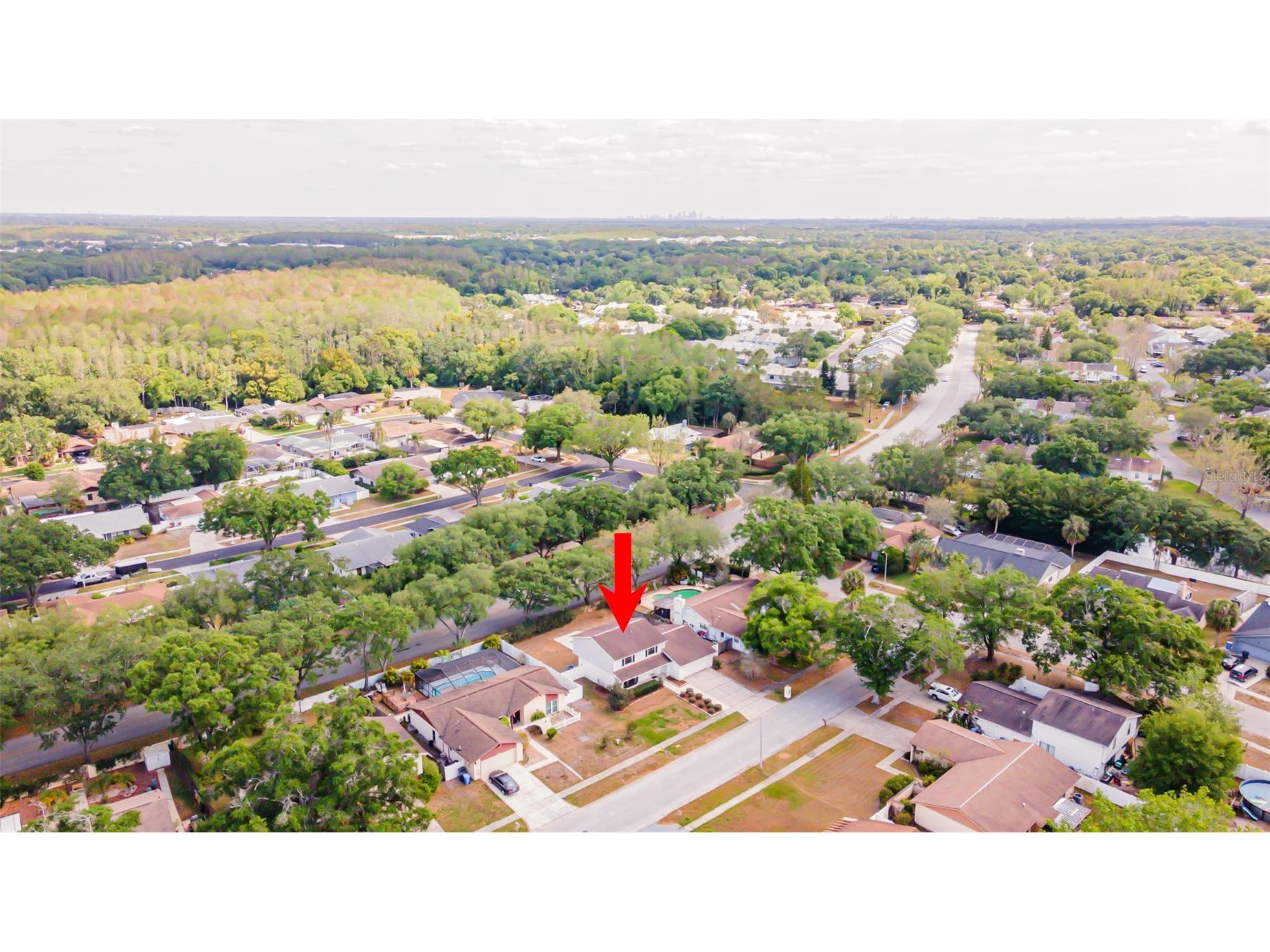 16203 Fantasia Drive Tampa FL 33624 TB8485098 image59