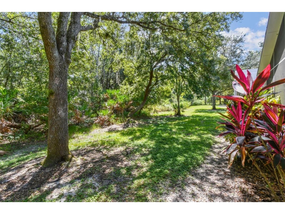 16203 Nottingham Park Way Tampa FL 33647 TB8426878 image42