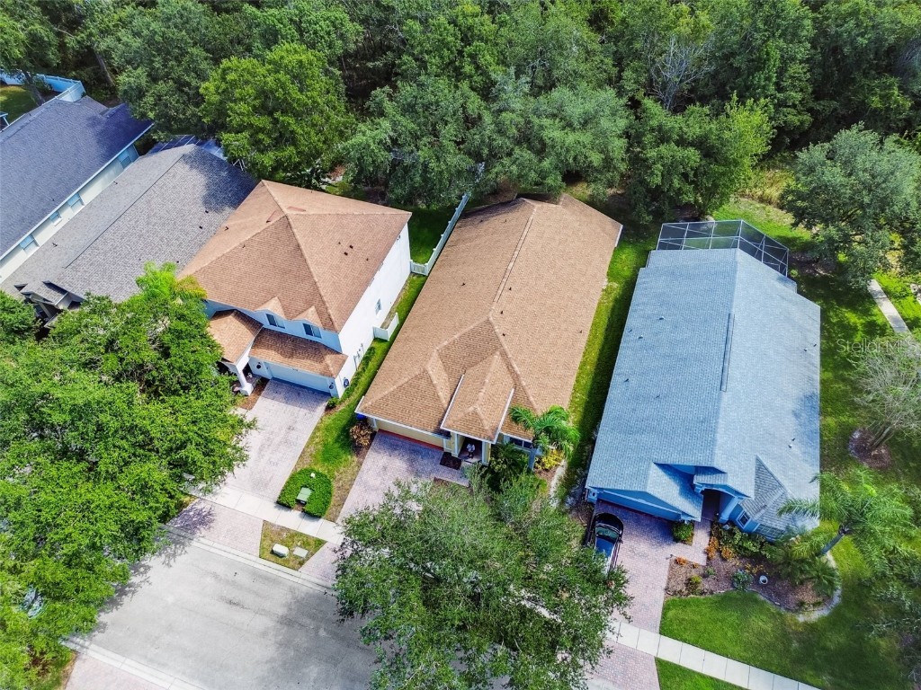 16203 Nottingham Park Way Tampa FL 33647 TB8426878 image47