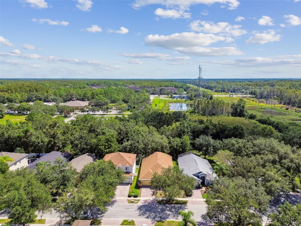 16203 Nottingham Park Way Tampa FL 33647 TB8426878 image48