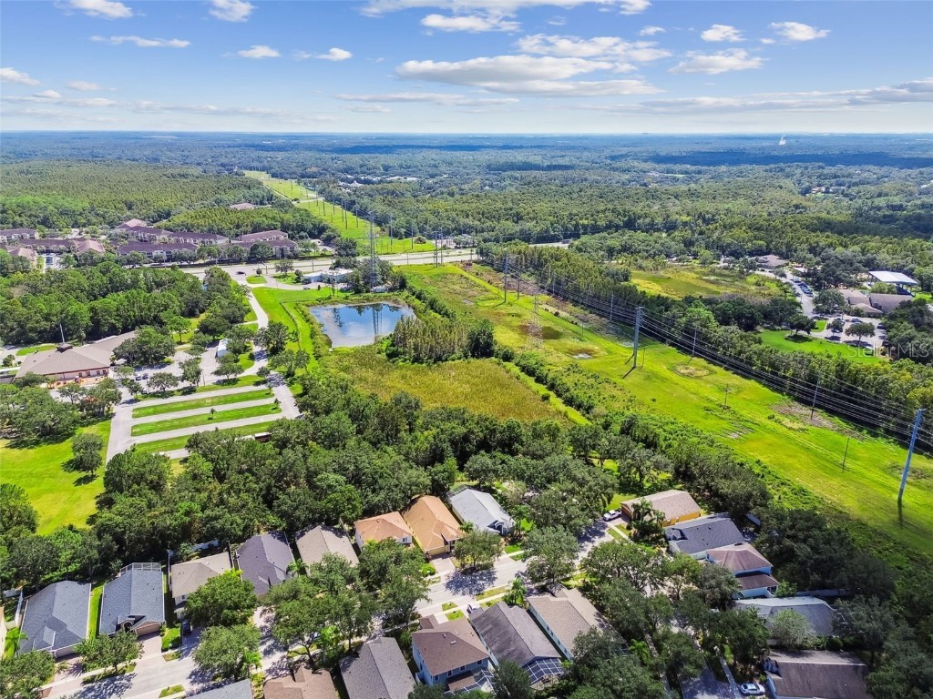 16203 Nottingham Park Way Tampa FL 33647 TB8426878 image49