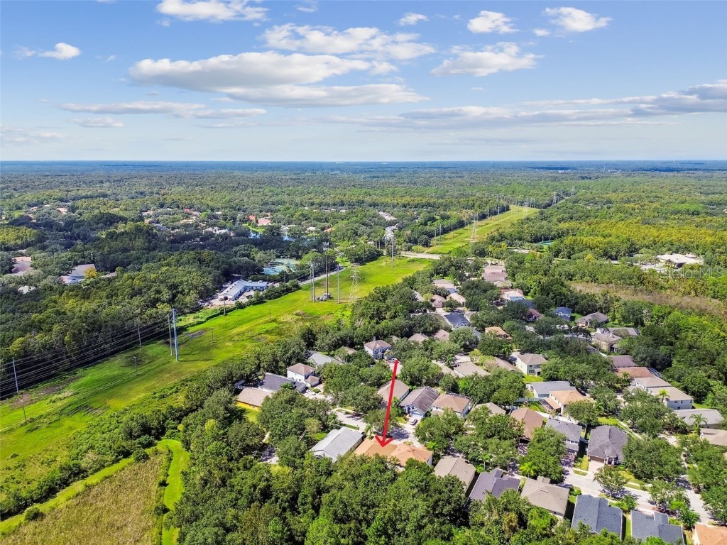 16203 Nottingham Park Way Tampa FL 33647 TB8426878 image50