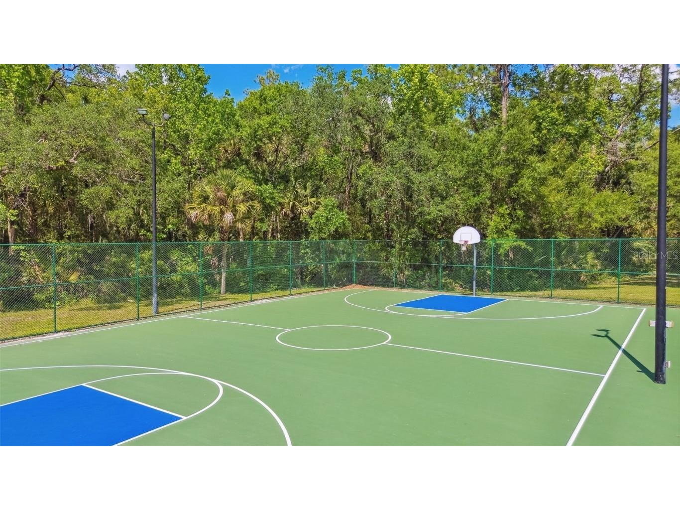 16203 Nottingham Park Way Tampa FL 33647 TB8426878 image58