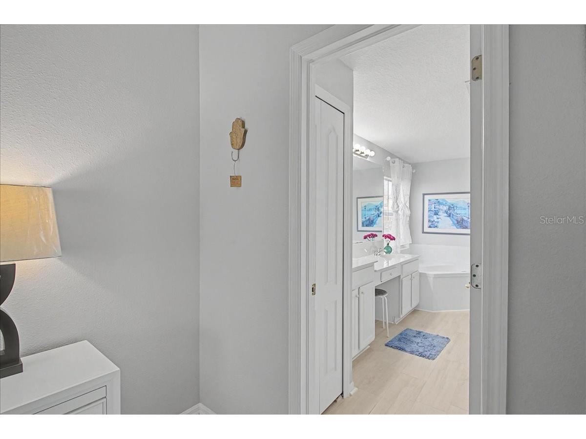 16204 Hampton Trace Court Tampa FL 33647 TB8473750 image27