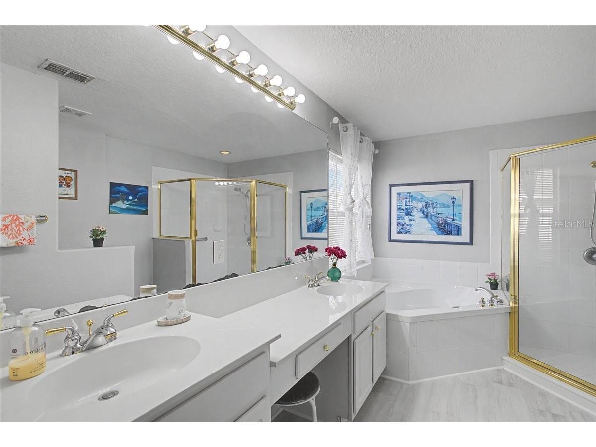 16204 Hampton Trace Court Tampa FL 33647 TB8473750 image28