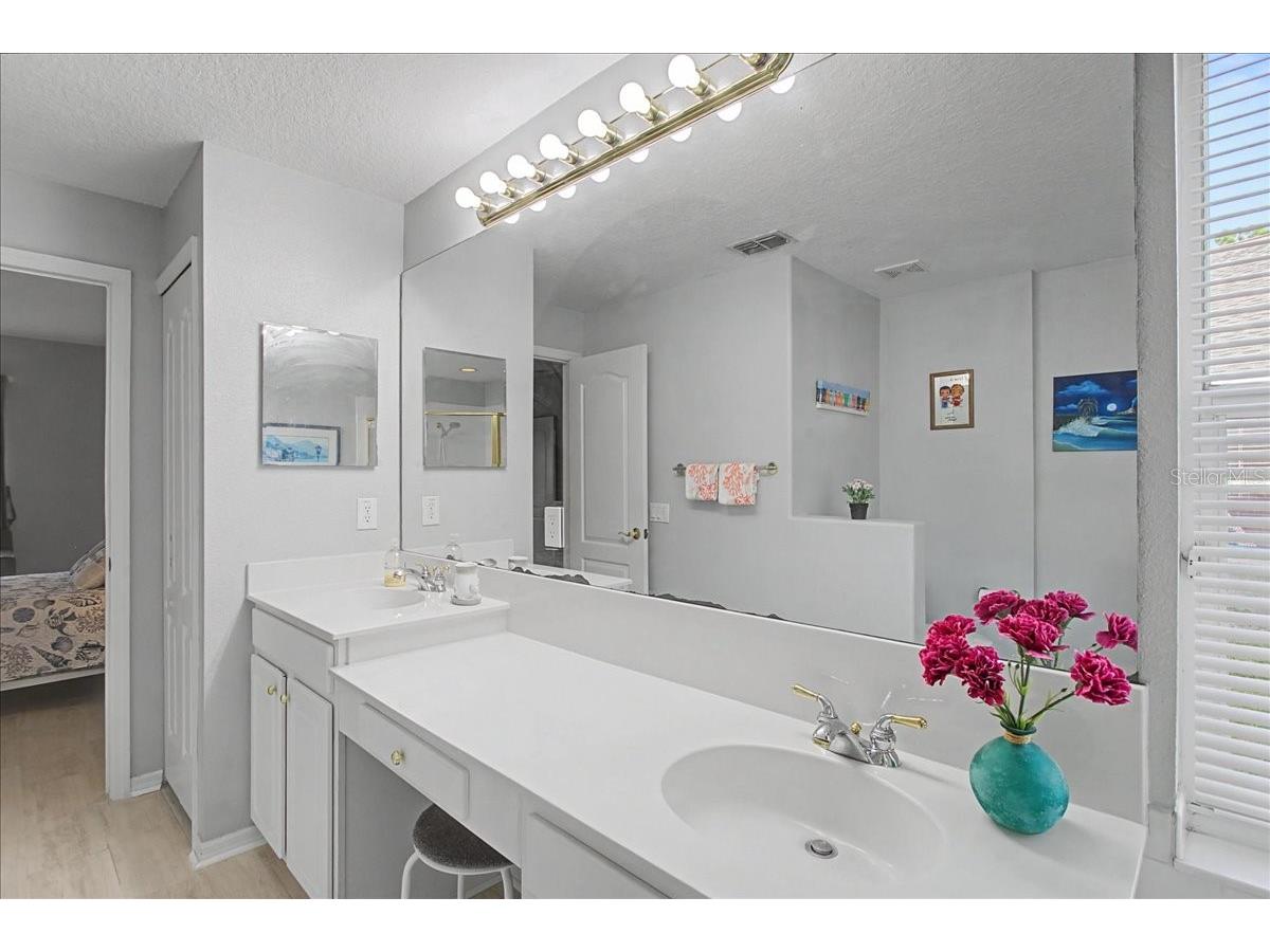 16204 Hampton Trace Court Tampa FL 33647 TB8473750 image29