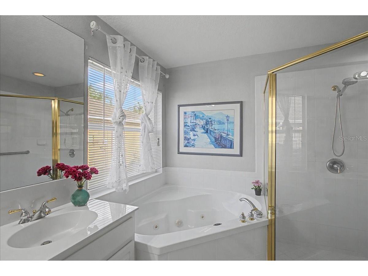 16204 Hampton Trace Court Tampa FL 33647 TB8473750 image30