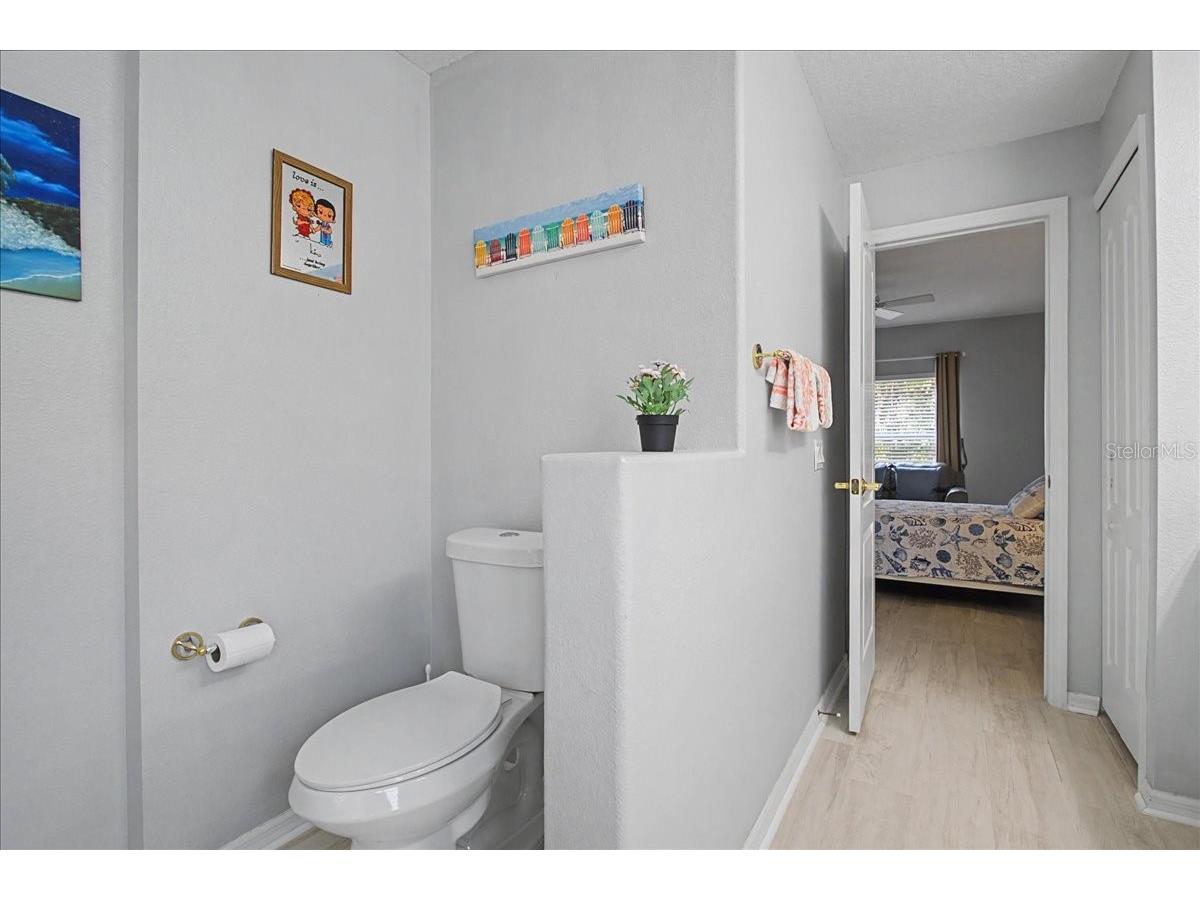 16204 Hampton Trace Court Tampa FL 33647 TB8473750 image32