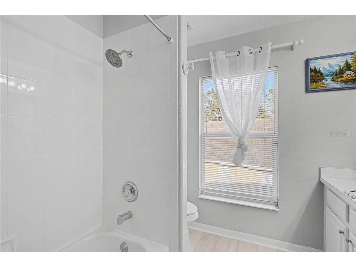 16204 Hampton Trace Court Tampa FL 33647 TB8473750 image42