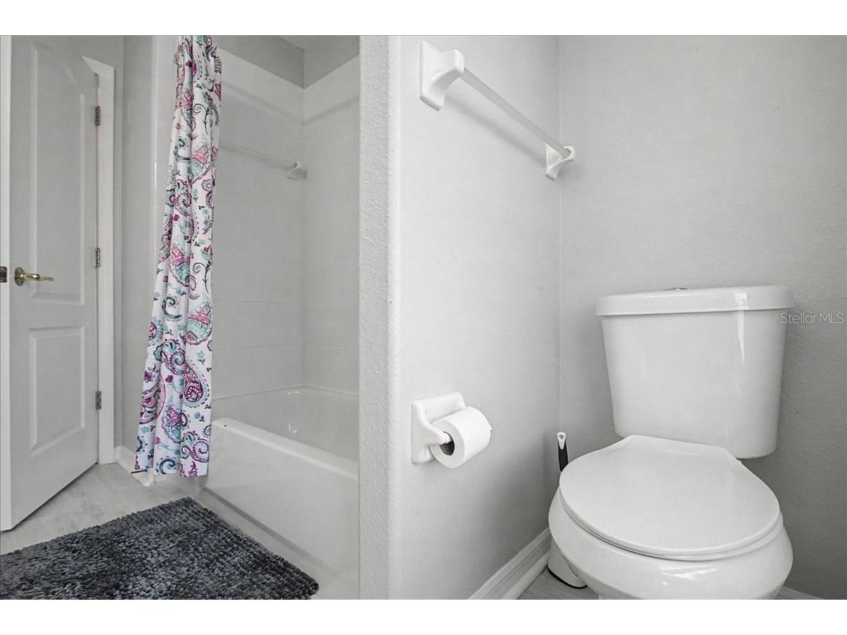 16204 Hampton Trace Court Tampa FL 33647 TB8473750 image43