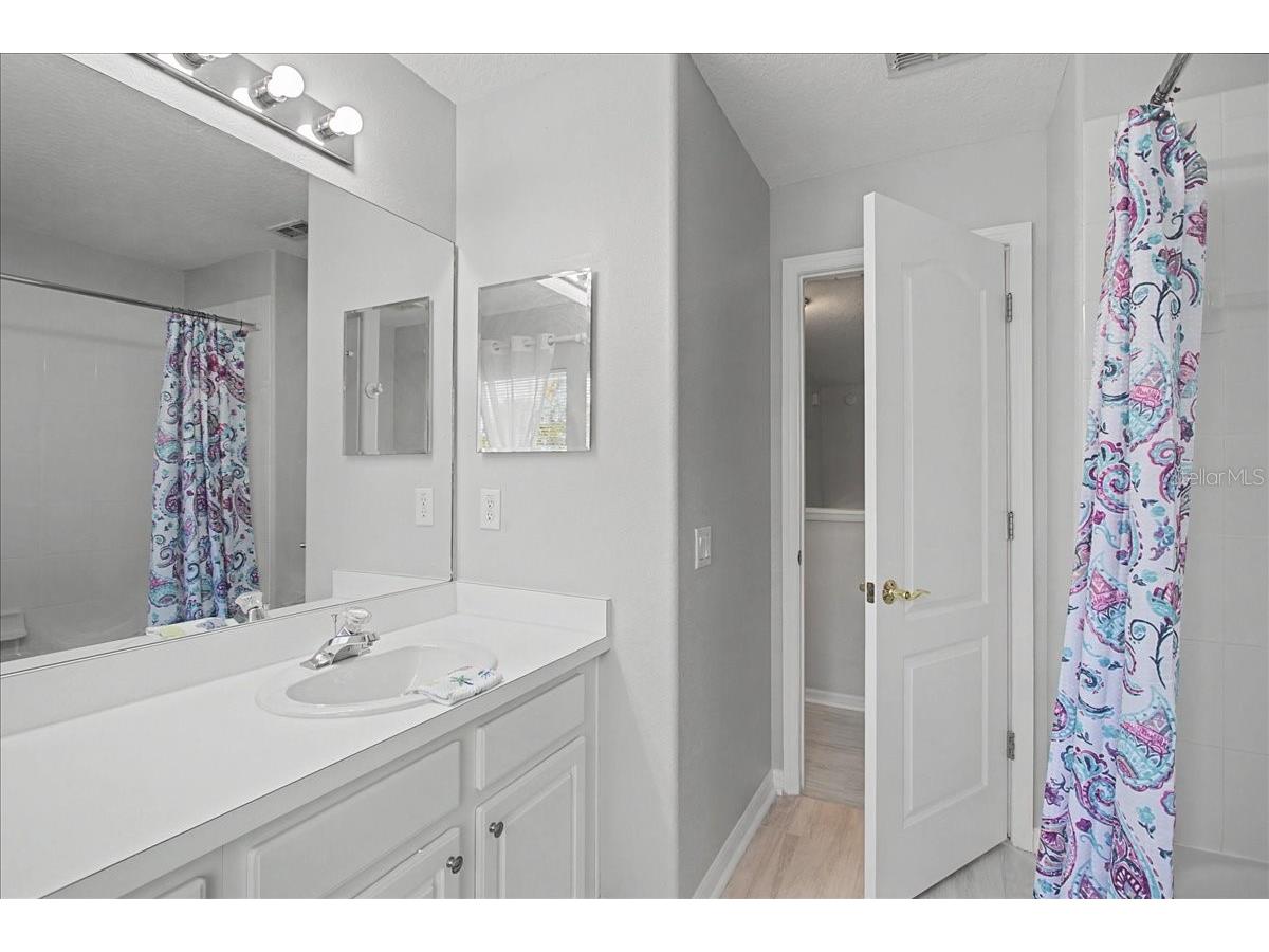 16204 Hampton Trace Court Tampa FL 33647 TB8473750 image44