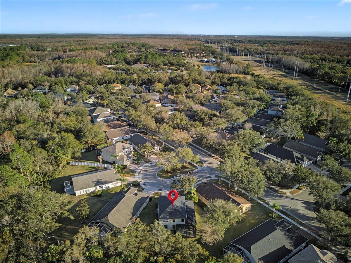 16204 Hampton Trace Court Tampa FL 33647 TB8473750 image60