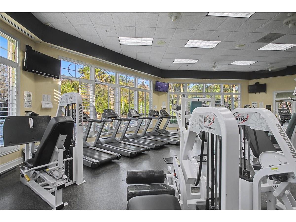 16204 Hampton Trace Court Tampa FL 33647 TB8473750 image64