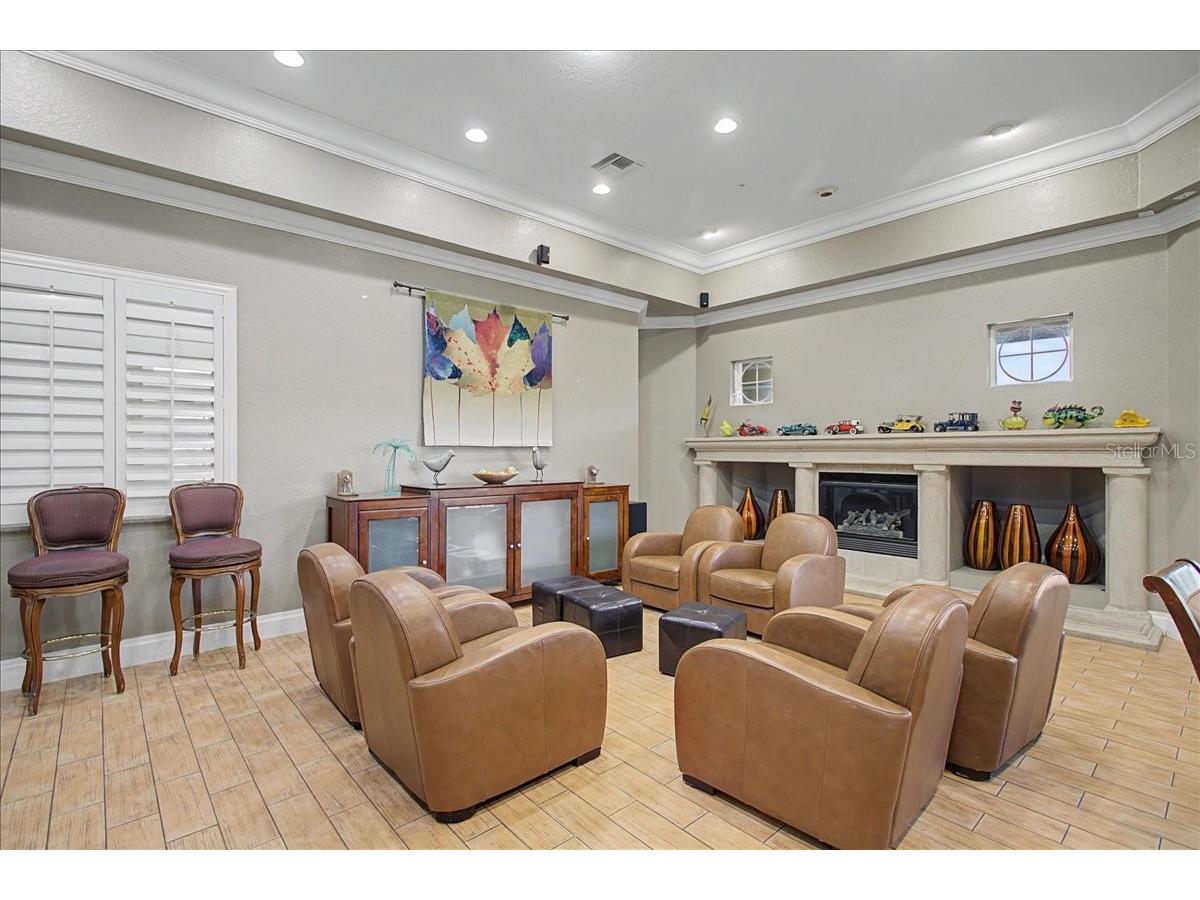 16204 Hampton Trace Court Tampa FL 33647 TB8473750 image69