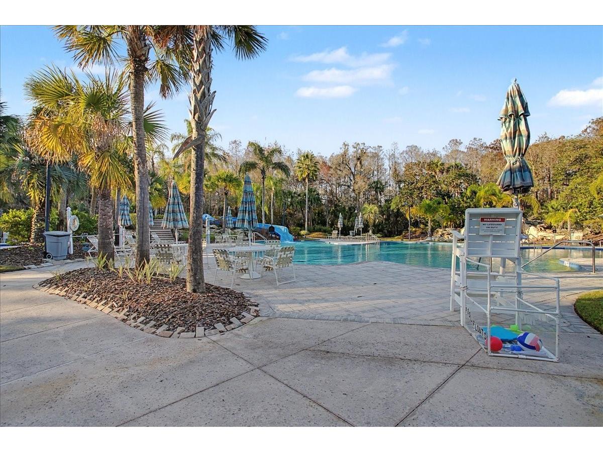 16204 Hampton Trace Court Tampa FL 33647 TB8473750 image71