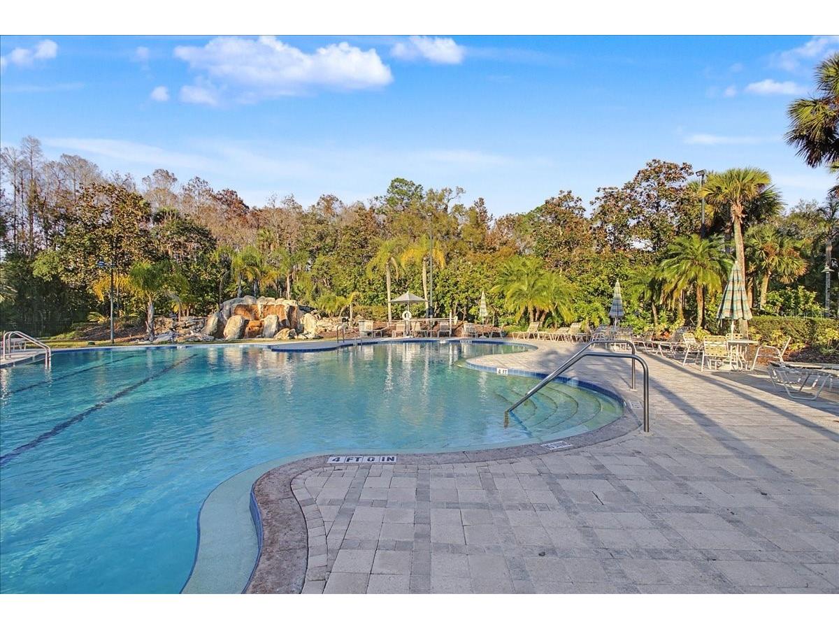 16204 Hampton Trace Court Tampa FL 33647 TB8473750 image72