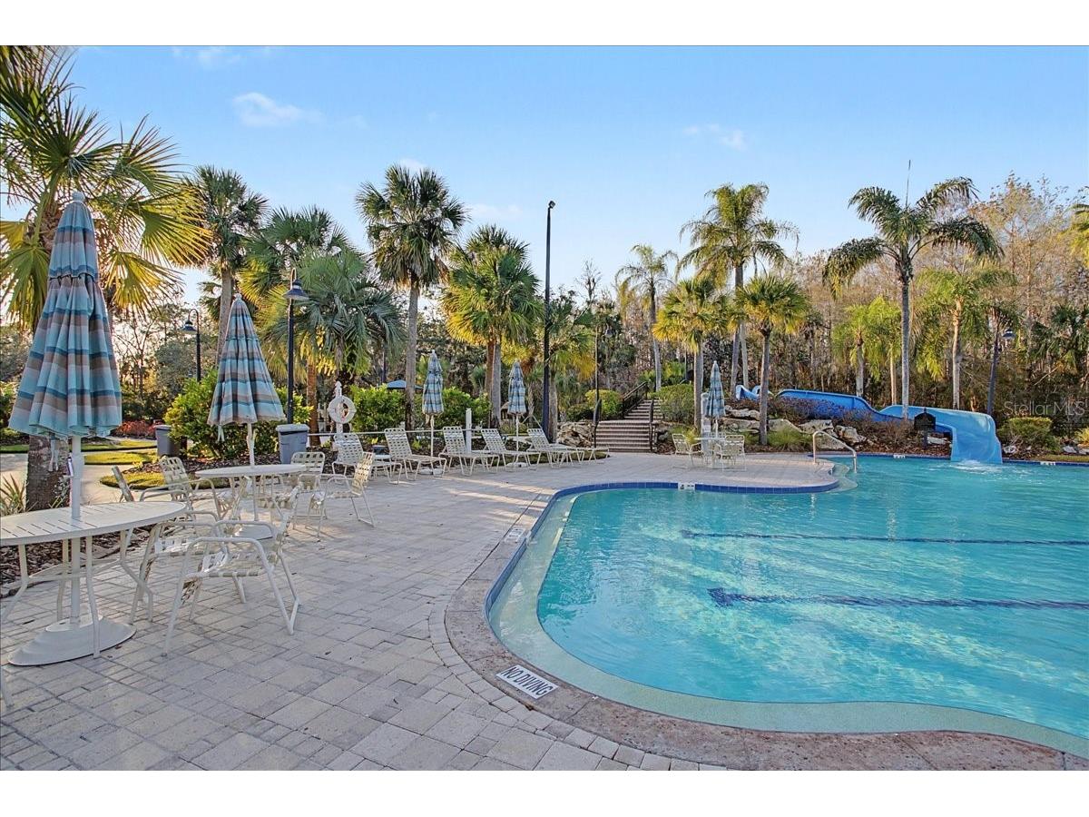 16204 Hampton Trace Court Tampa FL 33647 TB8473750 image73