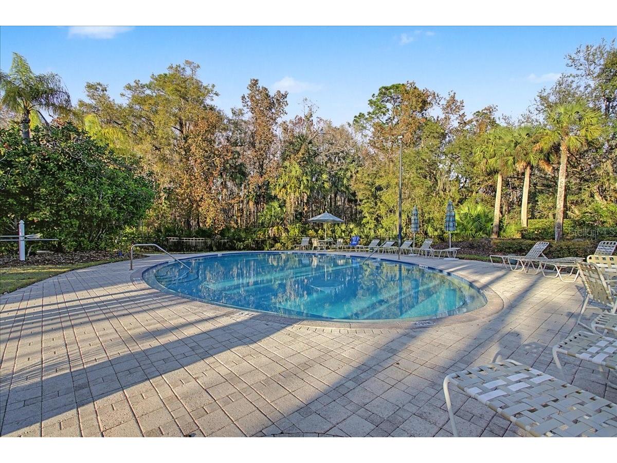 16204 Hampton Trace Court Tampa FL 33647 TB8473750 image74