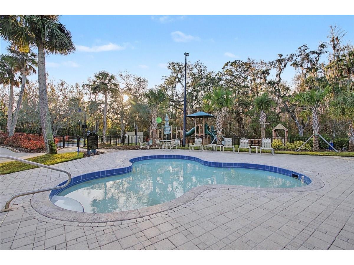 16204 Hampton Trace Court Tampa FL 33647 TB8473750 image75