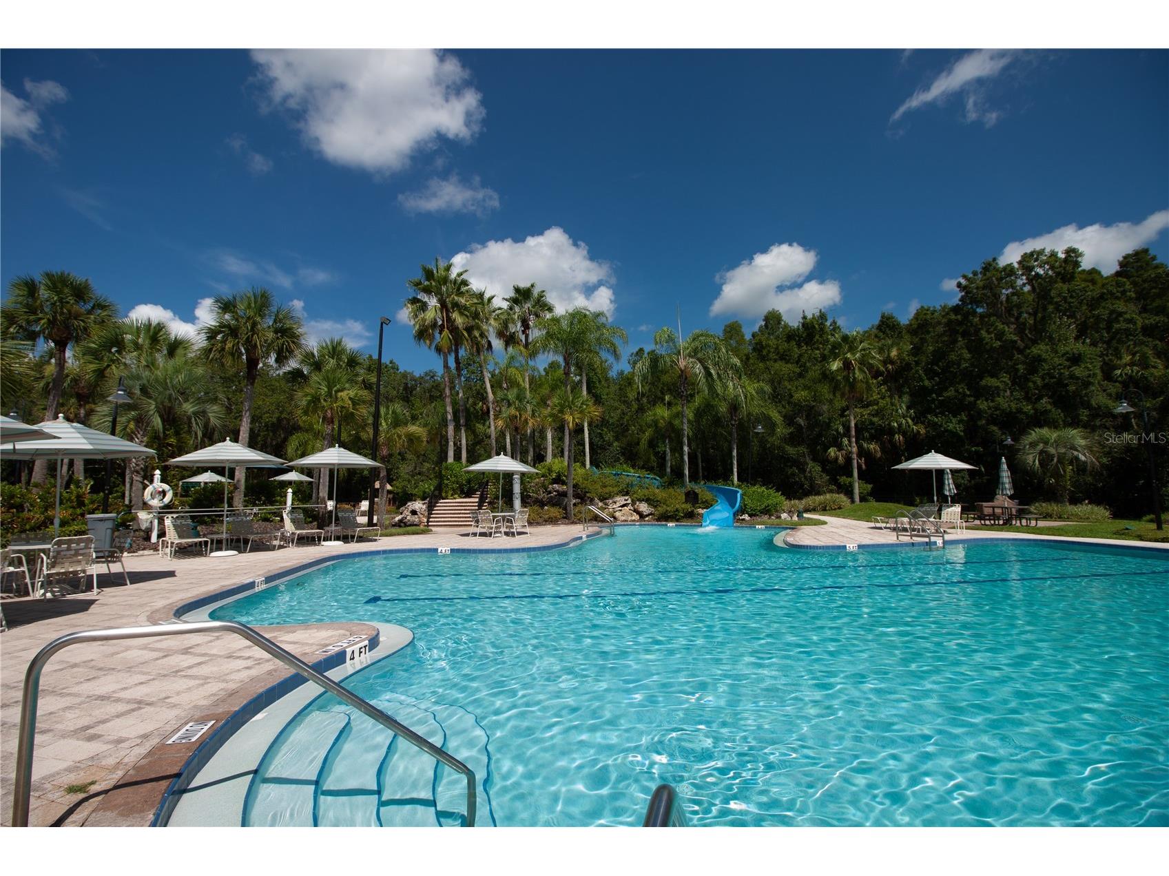16204 Nottingham Park Way Tampa FL 33647 TB8499703 image52