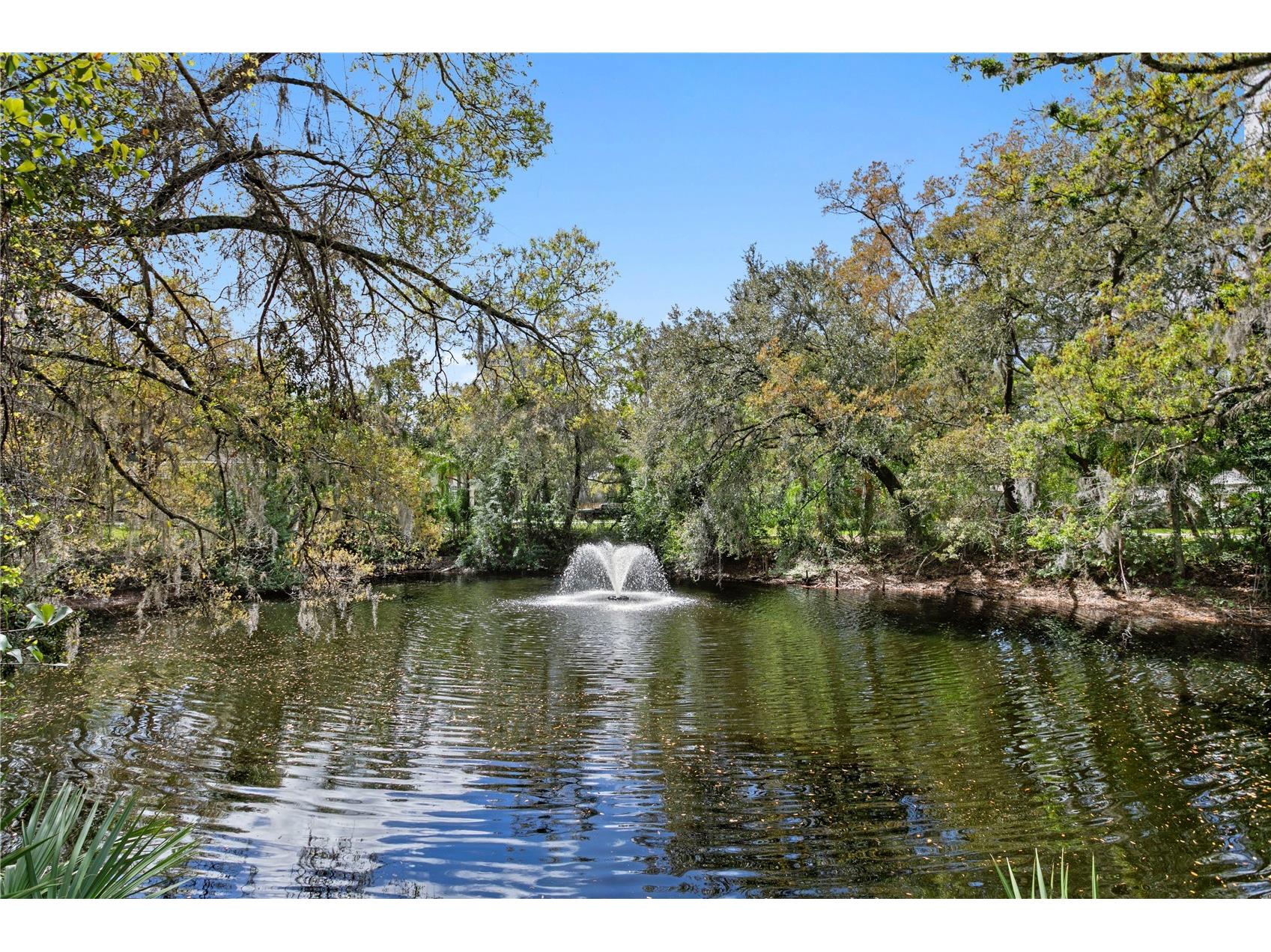 16204 Sierra De Avila Tampa FL 33613 TB8484161 image66