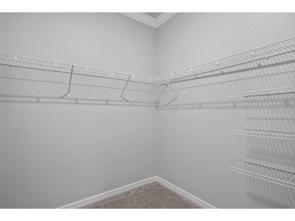 16205 Saint Kitts Circle Clermont FL 34714 O6270883 image17