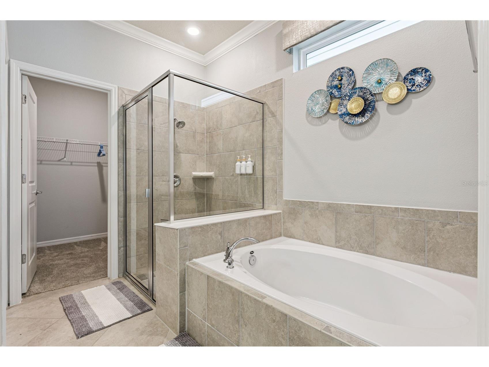 16205 Saint Kitts Circle Clermont FL 34714 S5153317 image22
